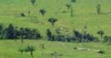 Venda Fazendas Especiais