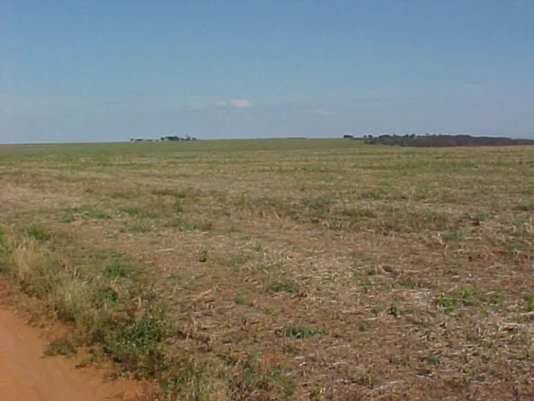 Venda fazenda Primavera Leste MT