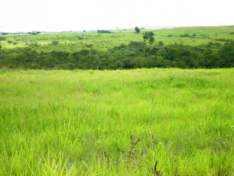 Venda fazenda Chapada dos Guimarães MT