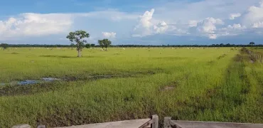 Venda fazenda Cocalinho Mato Grosso