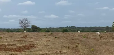 Venda fazenda Aragarças Goias