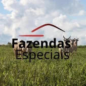 Venda fazenda Anapu Pará