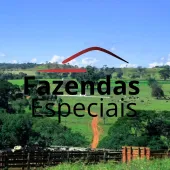 Venda fazenda leite Goiás