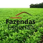 Venda fazenda Peixoto de Azevedo MT
