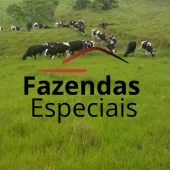 Venda fazenda Redenção Pará