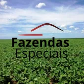 Venda fazenda São Desidério Bahia