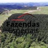 Venda fazenda reflorestamento de Pinus