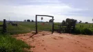 Venda fazenda em Santo Antonio do Leverger Mato Grosso 550 ha